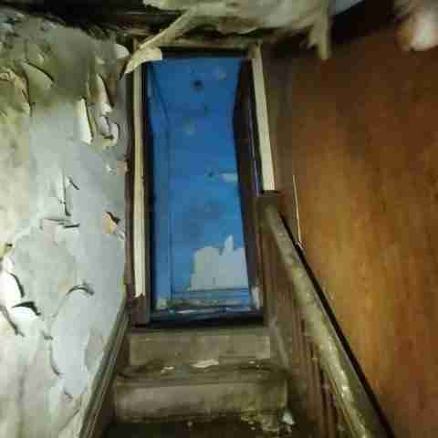 8031 conger (28).jpg